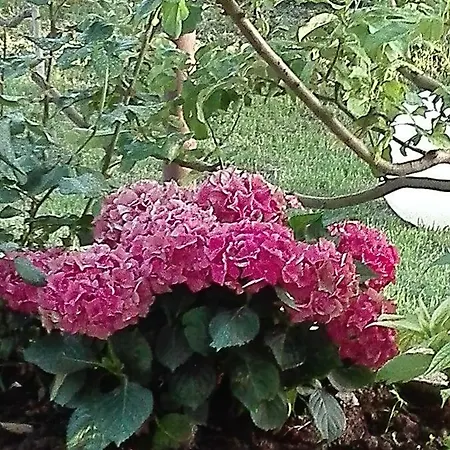 Appartamento Astonishing View