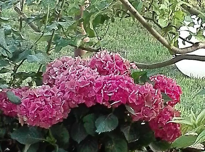 Apartmán Astonishing View