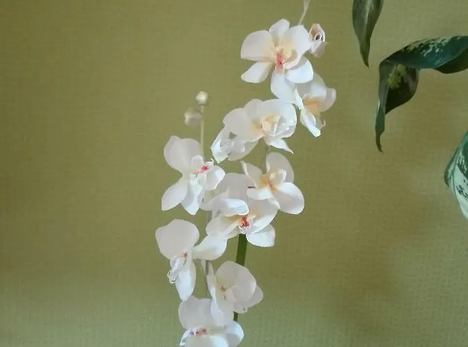 Apartmán Astonishing View