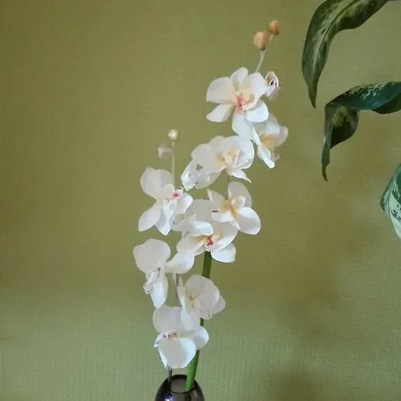 Апартаменты Astonishing View