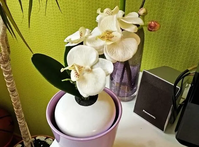 公寓 Astonishing View 斯普利特